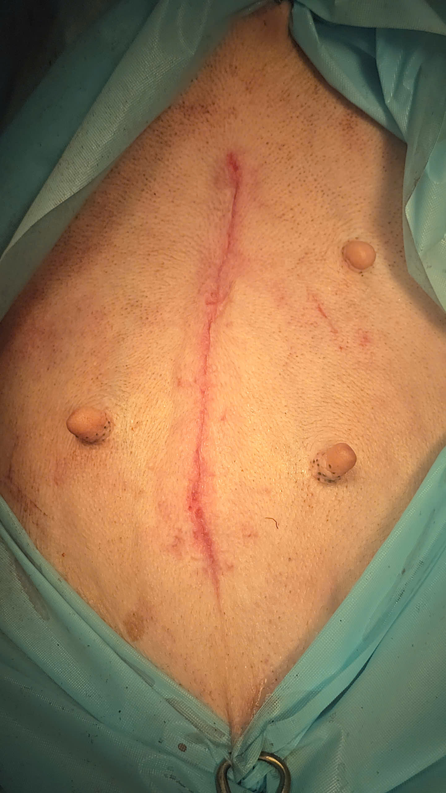 Bệnh viện Thú Y Gia Kiệm - Hình 15